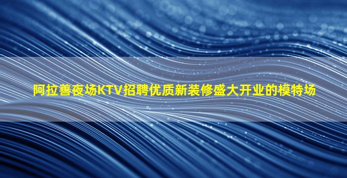 金昌夜总会招聘